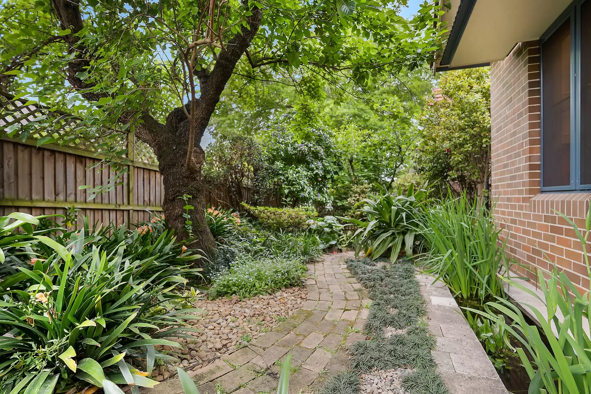 81 Prospect Road, Summer Hill Sold by Richard Matthews Real Estate - image 13