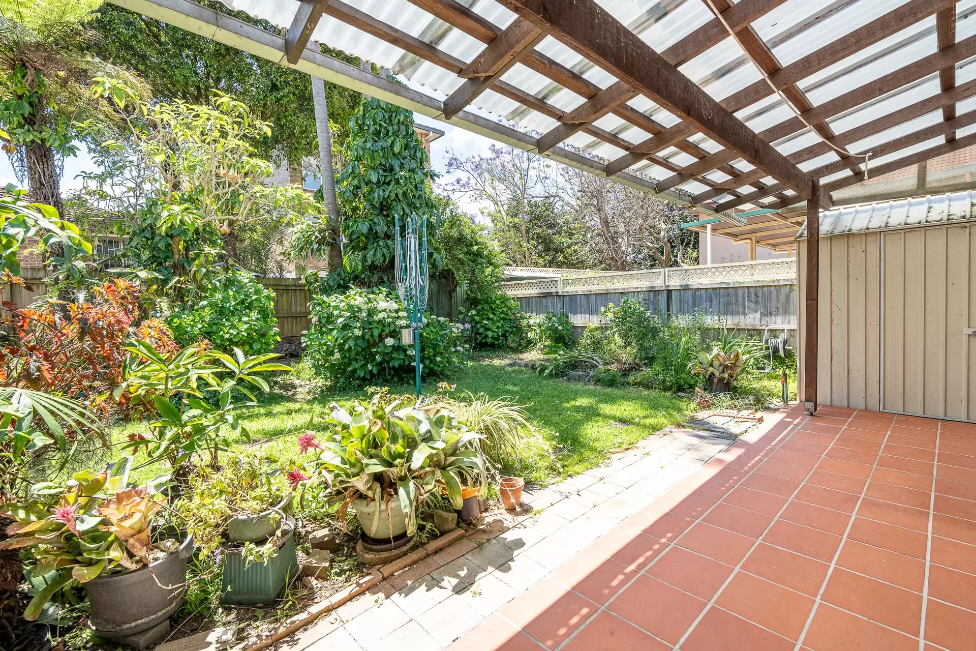 36 Oak Street, Ashfield Leased by Richard Matthews Real Estate - image 1