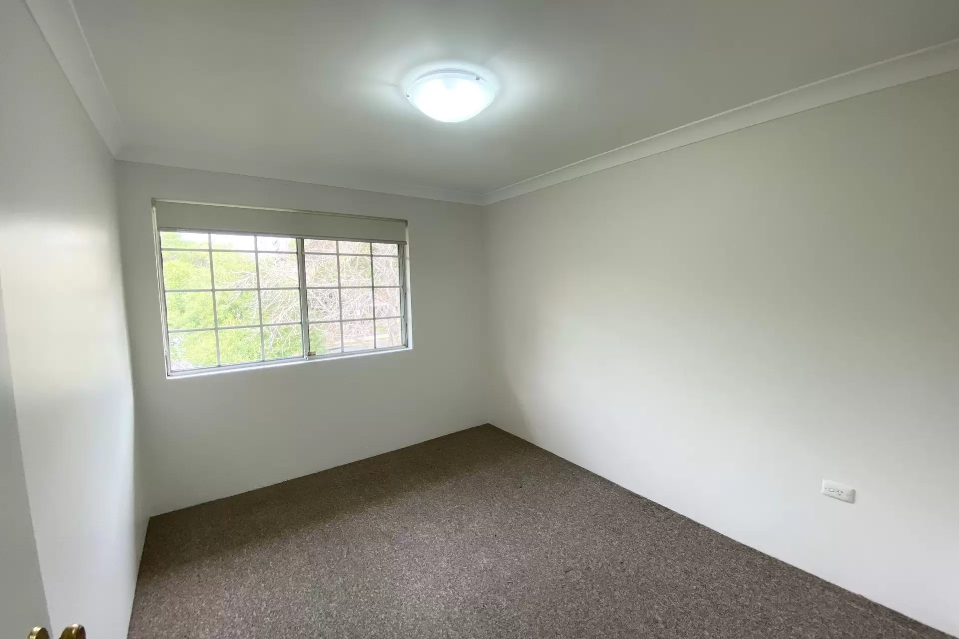 3/15-19 Beresford Road, Strathfield Leased by Richard Matthews Real Estate - image 6