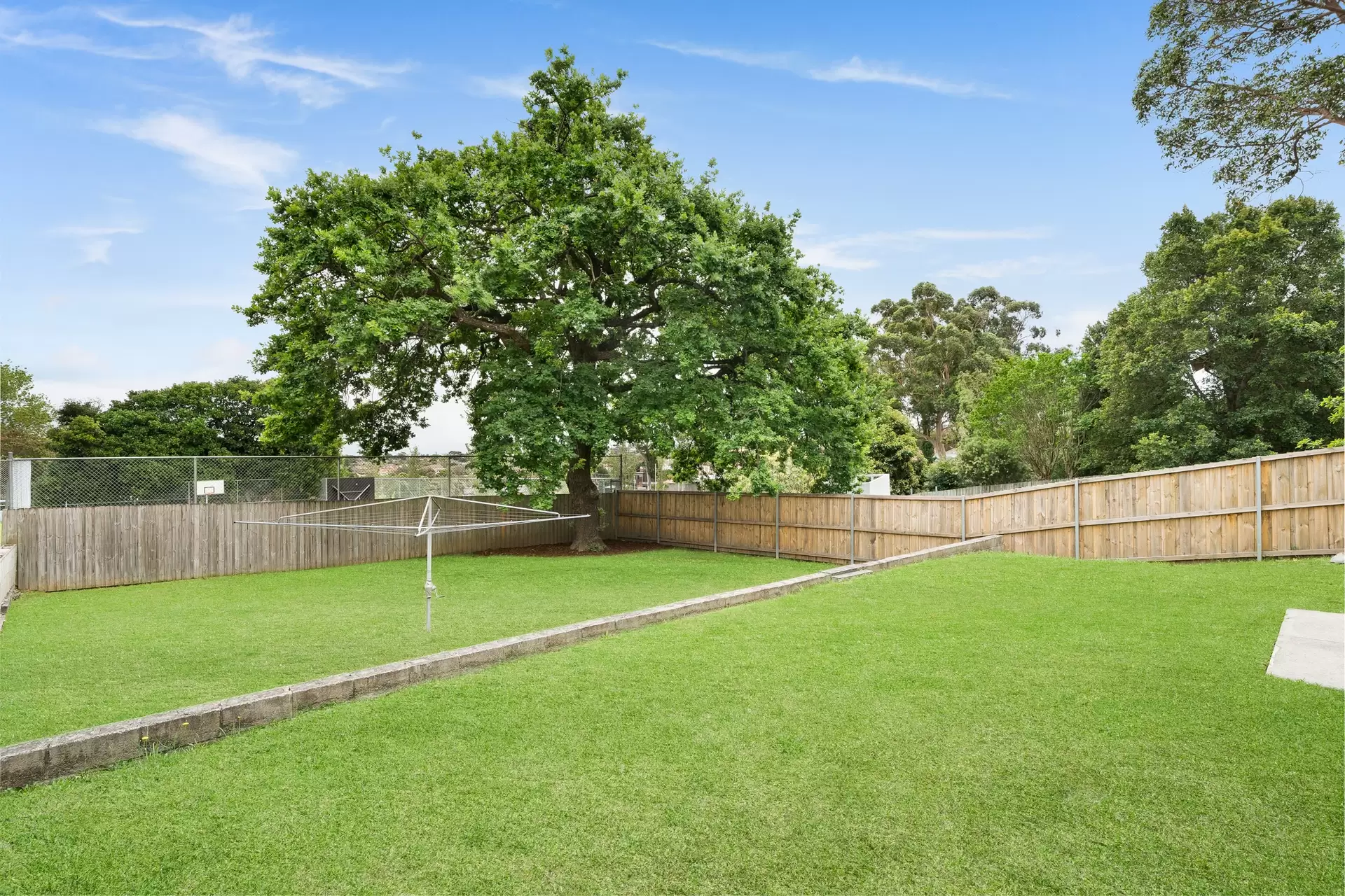 77 Hardy Street, Ashbury Auction by Richard Matthews Real Estate - image 6