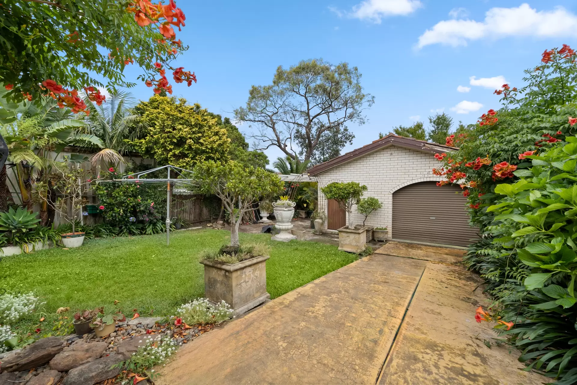 5 Yabsley Avenue, Ashfield Auction by Richard Matthews Real Estate - image 6