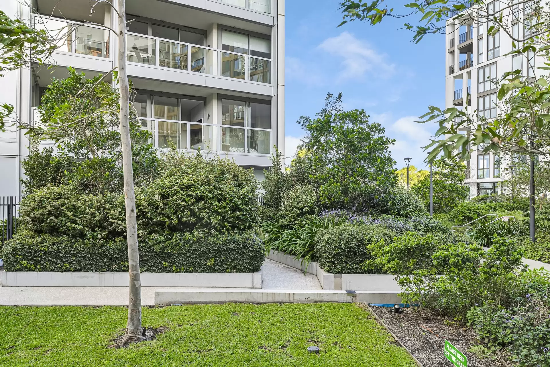 20203/2B Figtree Drive, Sydney Olympic Park For Lease by Richard Matthews Real Estate - image 9