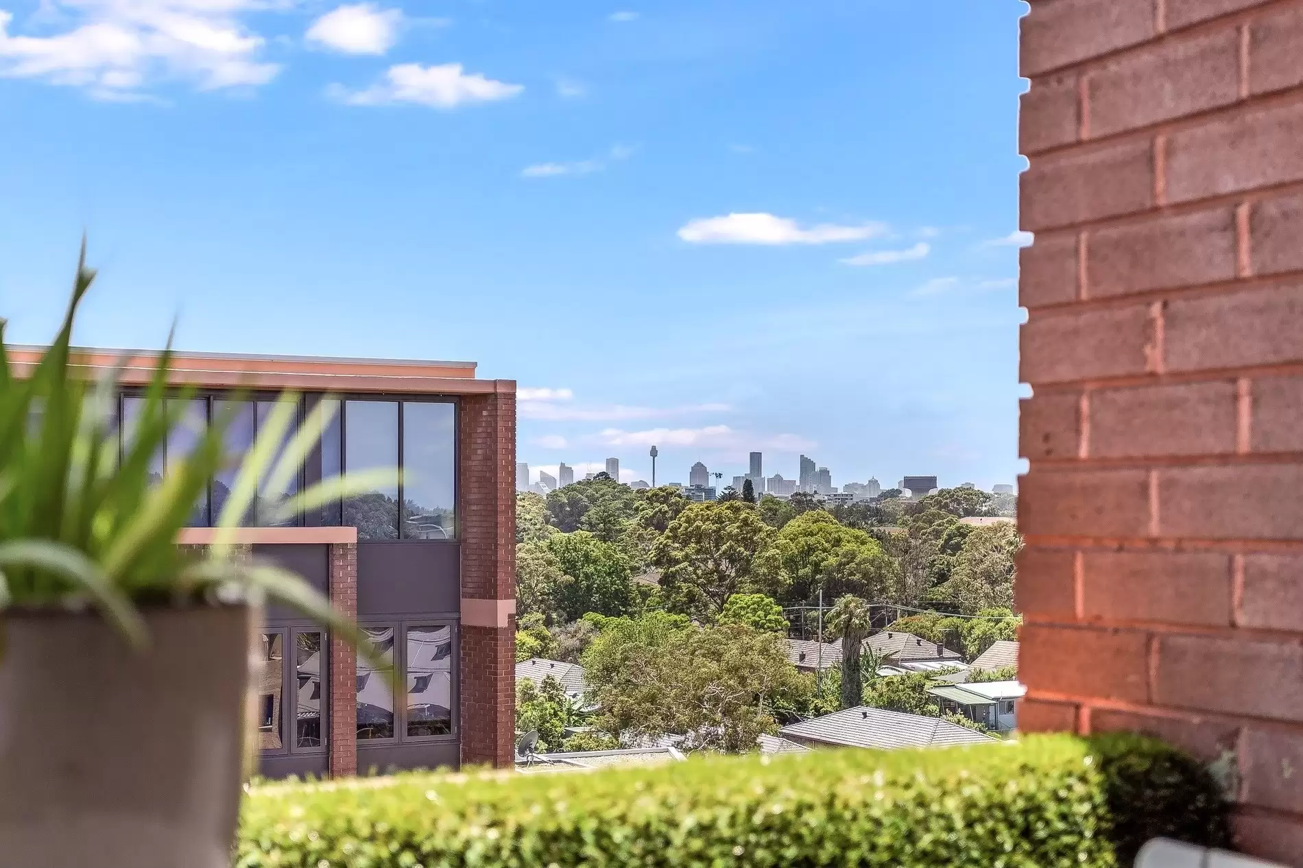 1813/6 Grove Street, Dulwich Hill Leased by Richard Matthews Real Estate - image 9