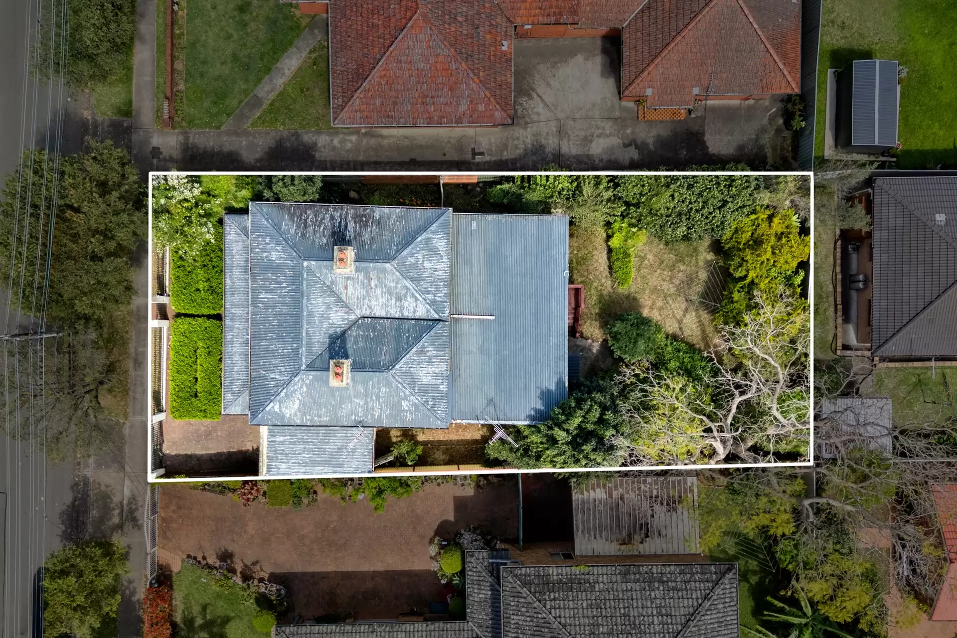 31 Willee Street, Strathfield Sold by Richard Matthews Real Estate - image 2