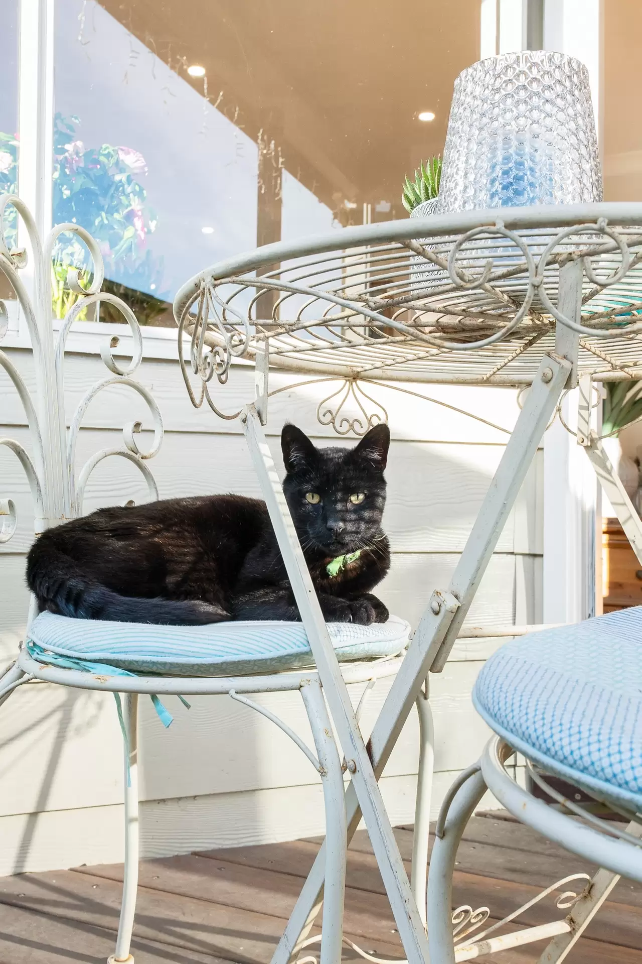 7 Excelsior Avenue, Strathfield South For Sale by Richard Matthews Real Estate - image 14